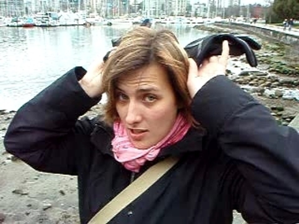 Stanley park downtown
