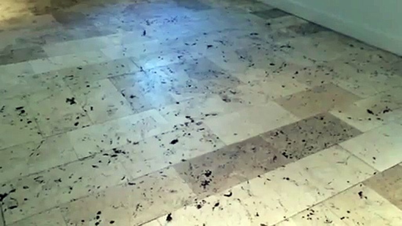 marble cleaning key biscayne