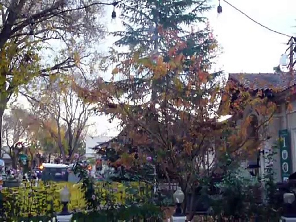 2015: NEW YEARS PARADE PLEASANTON 002 P1070104