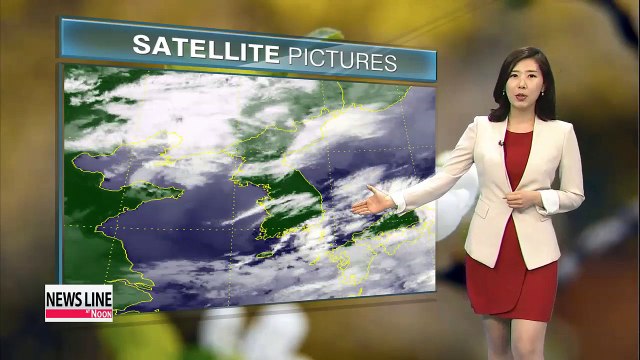 Mild temperatures this week