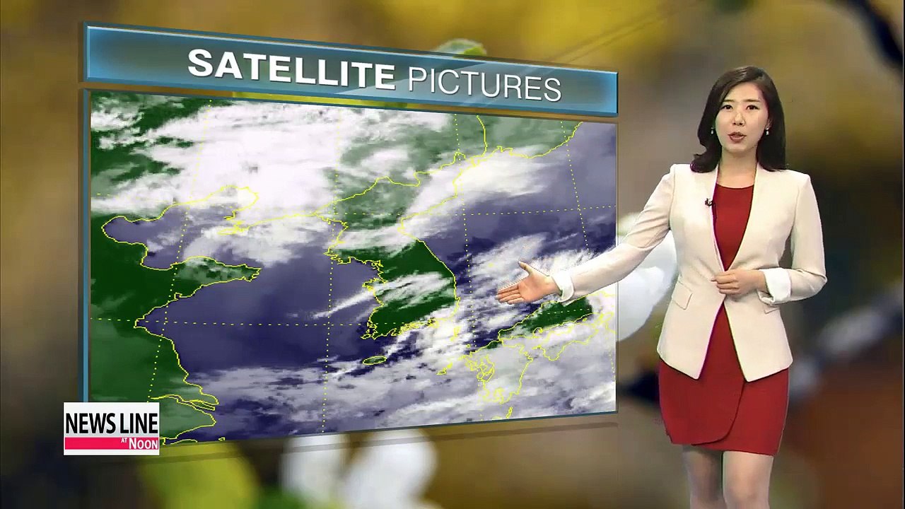 Mild temperatures this week