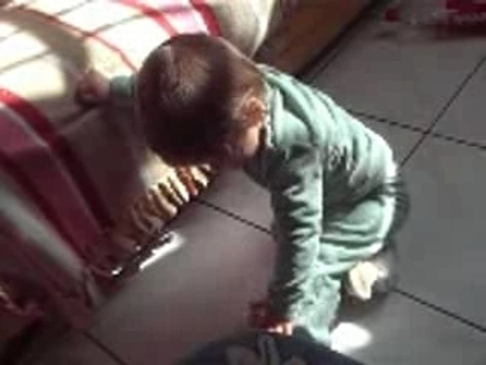 4 pattes 120307