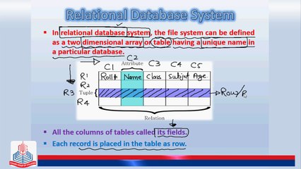 Understanding Relational Database Systems: Entities, Tables, and Relationships 📊