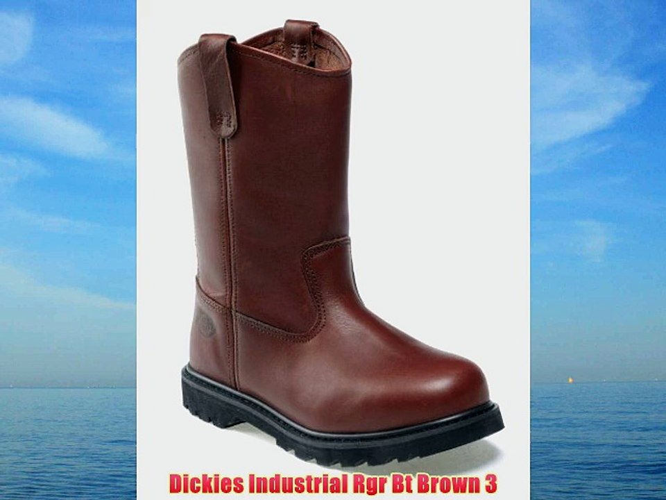 Dickies Industrial Rgr Bt Brown 3