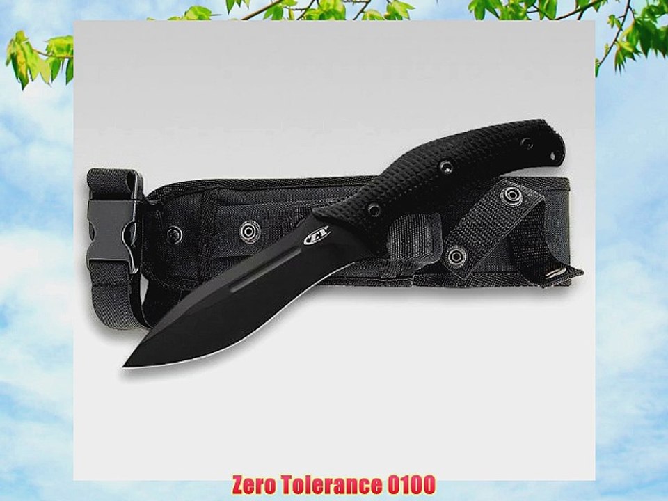 Zero tolerance 0100