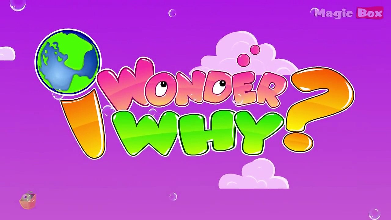 Why Do Fingers And Toes Wrinkle When Left In Water! - I Wonder Why - Amazing Fun Facts For Kids