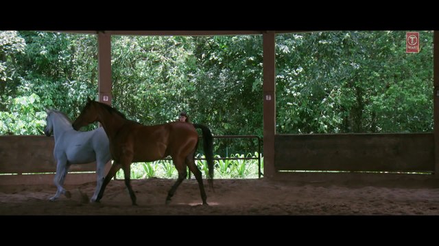 'Tu Hai Ki Nahi (Unplugged)' Video Song _ Roy _ Tulsi Kumar Songs _ T-Series