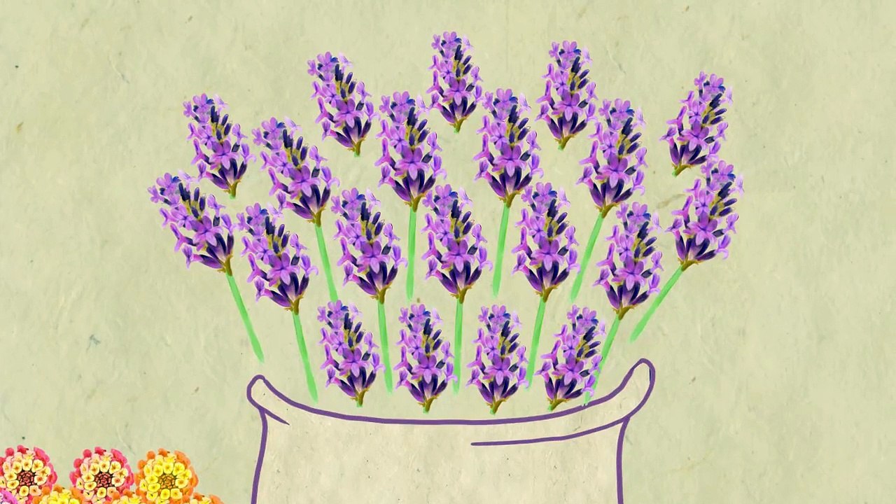 Des plantes sobres pour le balcon