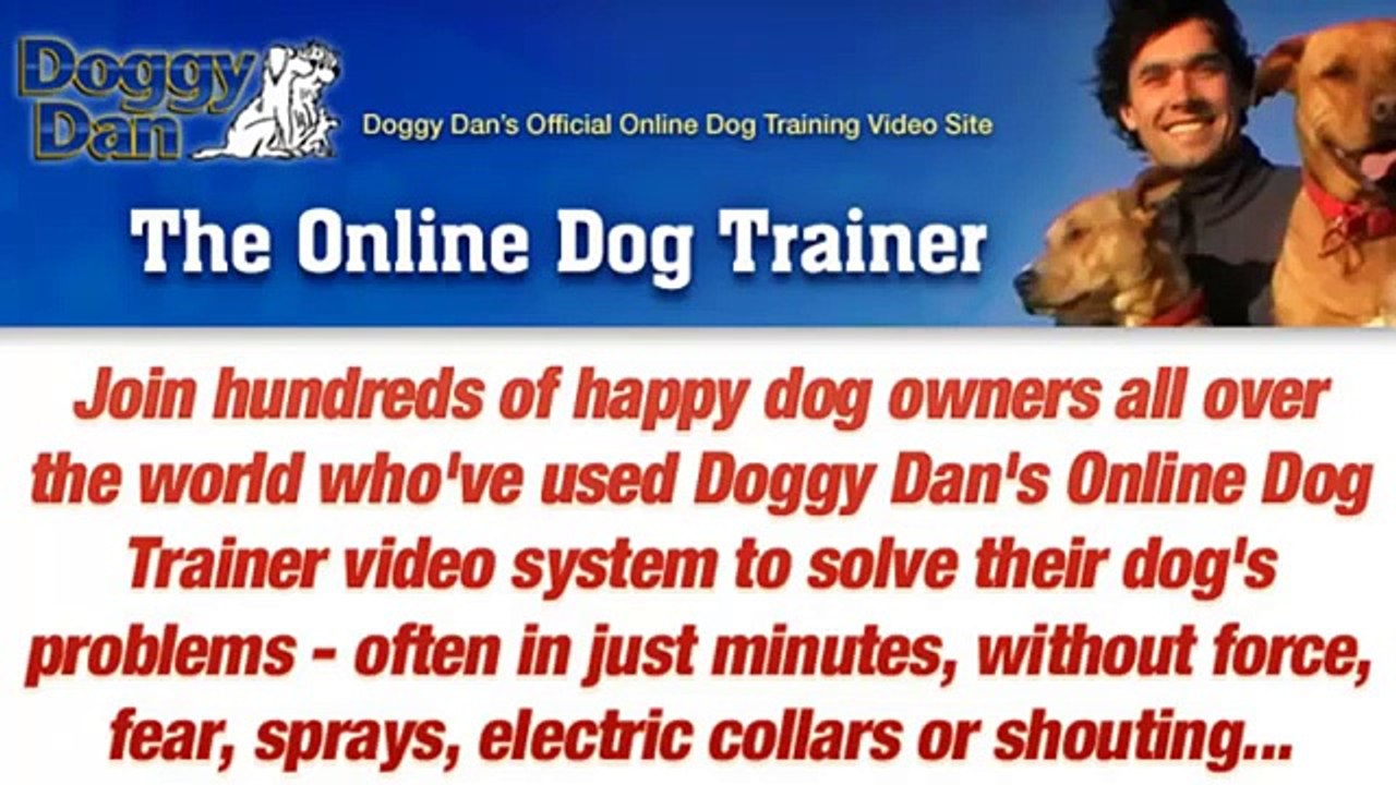 Dogs Obedience Training - The Online Dog Trainer