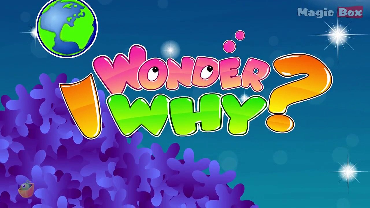 What Makes Sun And Moon Shine! - I Wonder Why - Amazing and Interesting Fun Facts Video For Kids