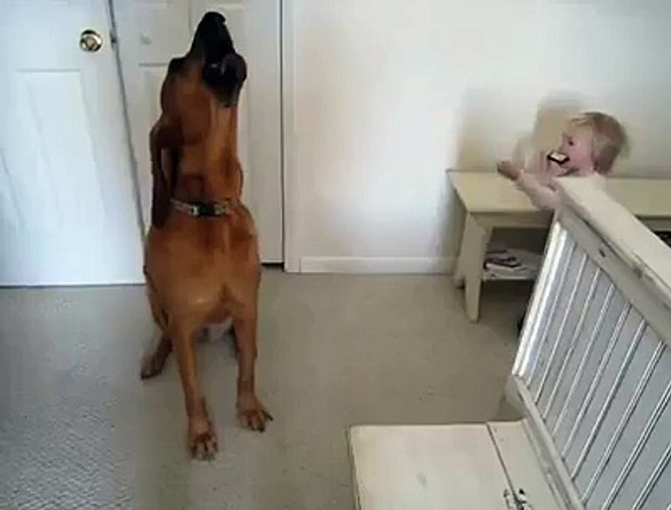 This video Will Make You A Smile…