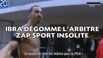 Download Video: Ibra dégomme l'arbitre , le kung-fu de Benzema... ZAP Sport insolite