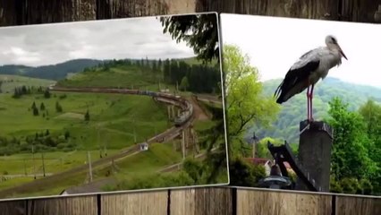 Привітання мамі Плакуча гітара