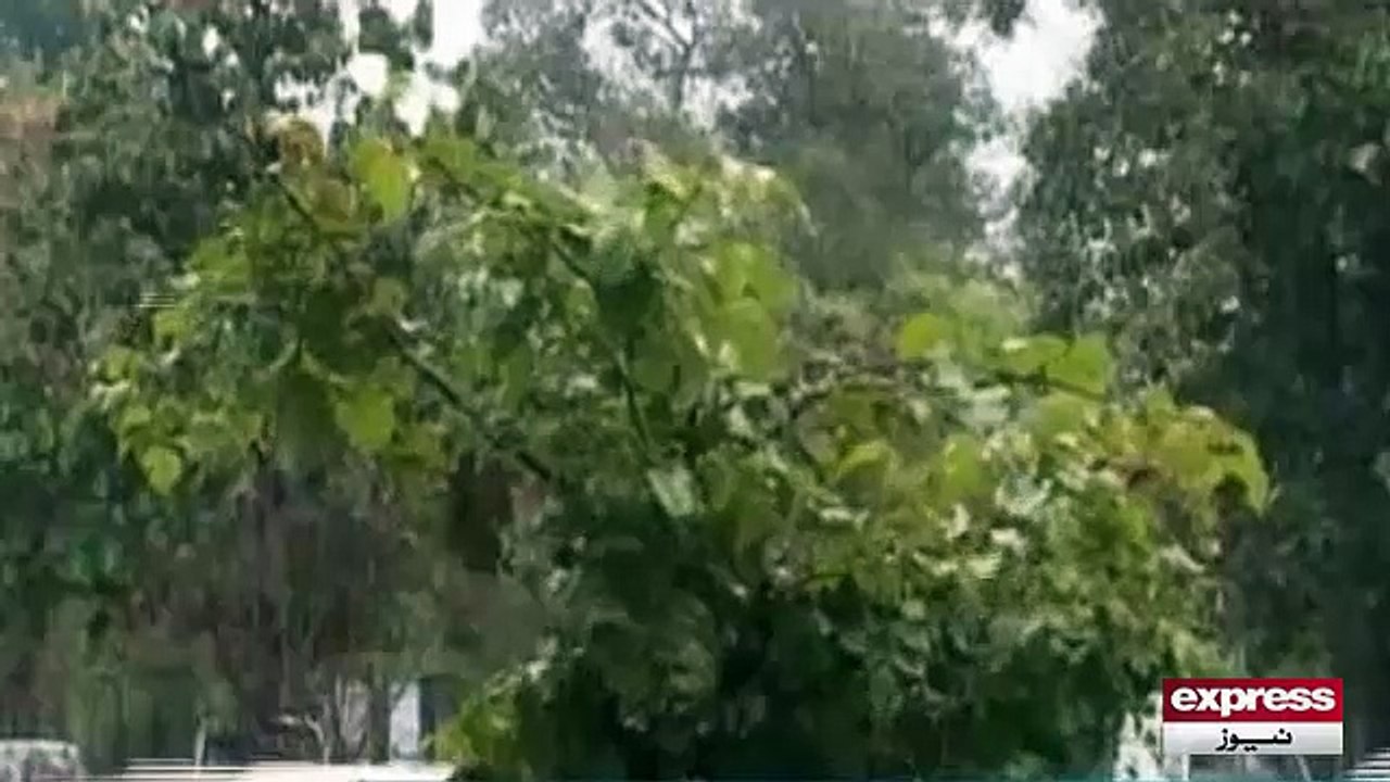 Rain in Punjab - 16 MAR 2015