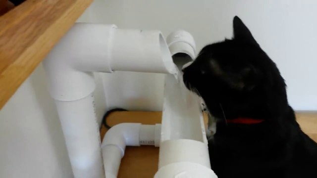 Amazing Cat water bowls invented by Engineer
