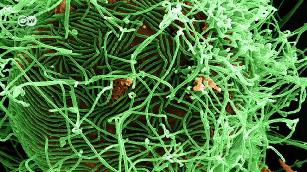 Ebola-Impfstoff - Tests in Westafrika | Projekt Zukunft