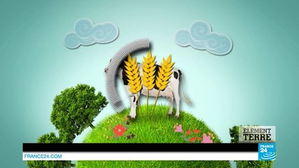 Agriculture : faire face à l'élevage intensif