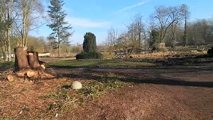 Ham : Au coeur du chantier du parc Delicourt