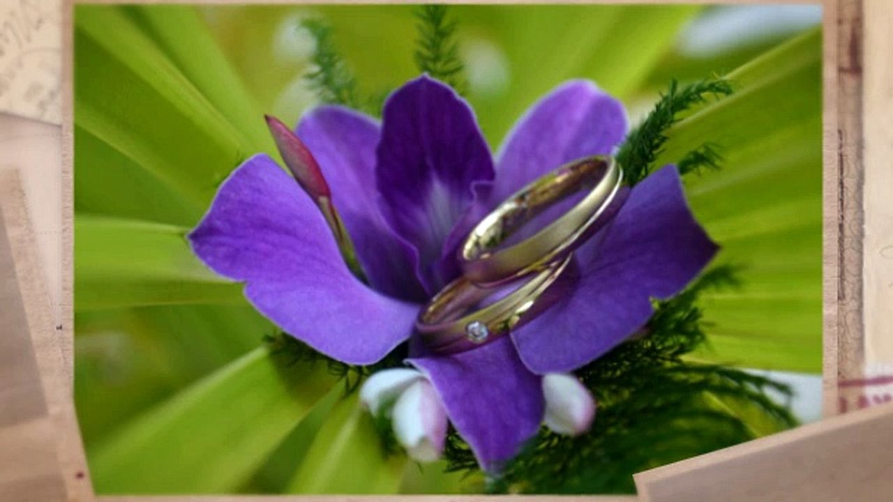 Lust auf eine außergewöhnliche Hochzeit in der Südsee?