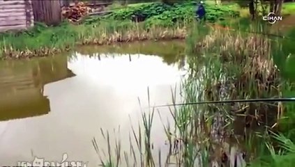 Rus balıkçı balığını kediye kaptırdı