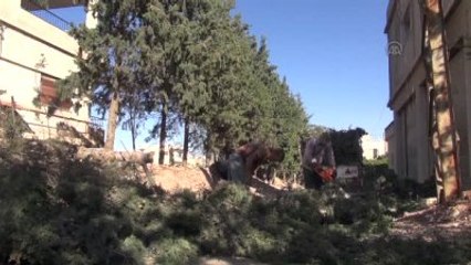 Halk Ağaçları Keserek Isınmaya Çalışıyor