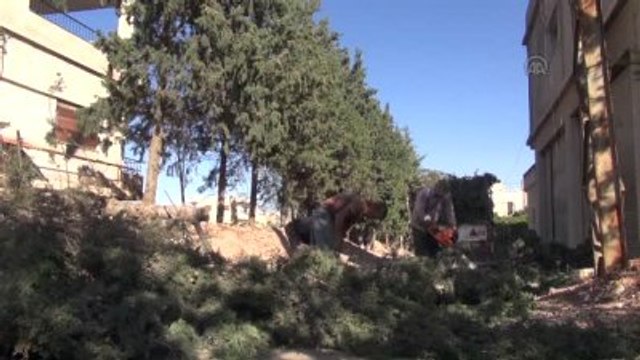 Halk Ağaçları Keserek Isınmaya Çalışıyor