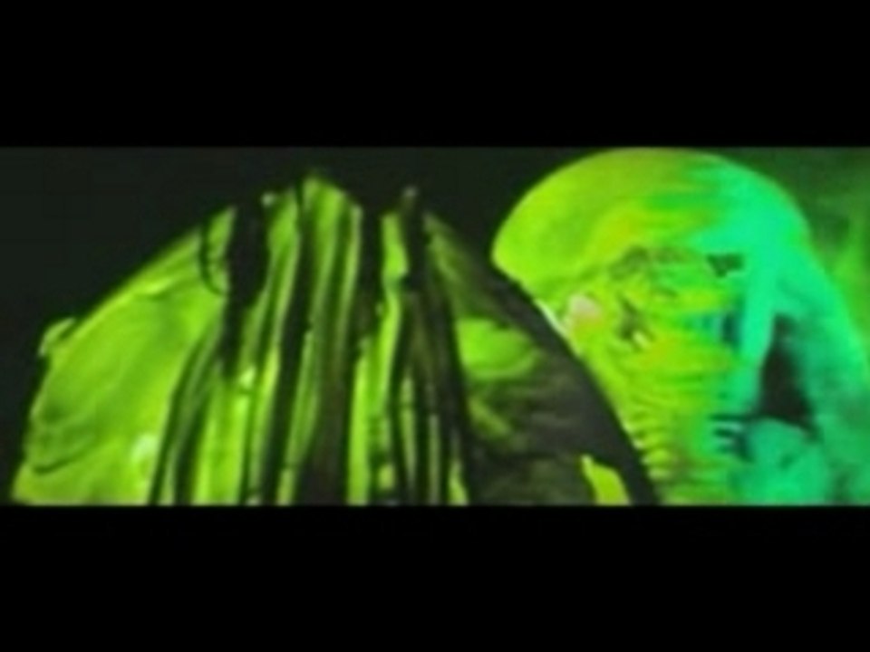 Amv.alien vs predator clip