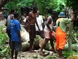 На Вануату поступает гуманитарная помощь