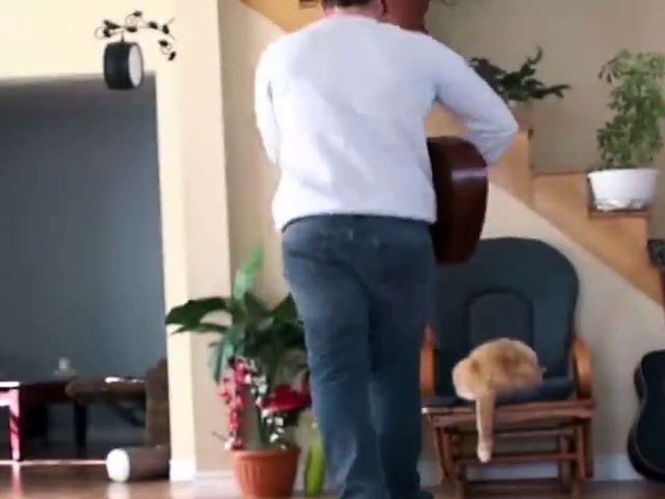 Tit for tat funny video