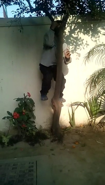 Daring kid
