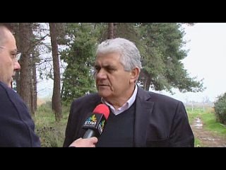 Κόντρα δημοτικής αρχής και αντιπολίτευσης στον Ορχομενό για το πρόγραμμα υλοτόμησης επικίνδυνων δένδρων