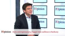 Auto-entrepreneurs, l'appel des cailloux à Nicolas Sarkozy