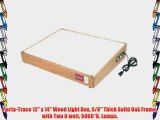 Porta-Trace 12 x 14 Wood Light Box 5/8 Thick Solid Oak Frame with Two 8 watt 5000?K. Lamps.