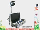 Arri 571985 300/650 Tungsten Fresnel Light Kit
