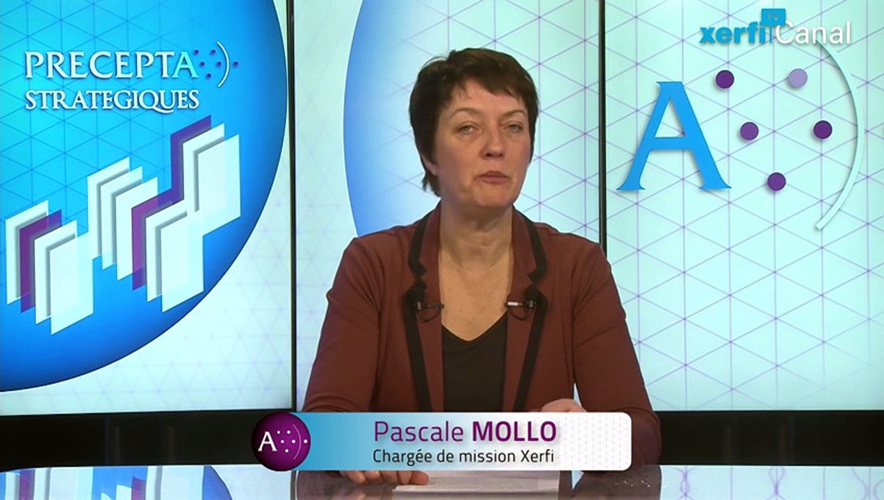 Pascale Molo, Xerfi Canal Vegeplast, le pari d'une PME française dans les bio-plastiques