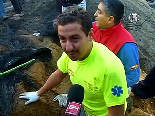 Собака родила щенков среди огня, все выжили