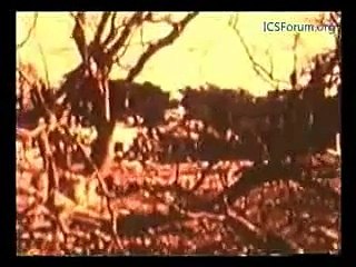 1971 Indo Pak War IN BANGLADESH RARE VIDEO