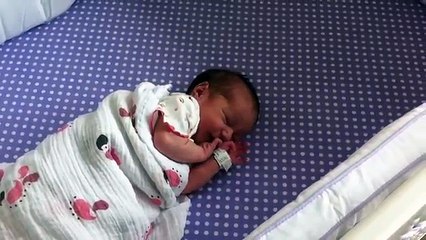 Boxer Responds To Newborns First Cries