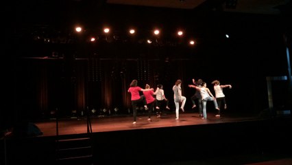 DEP DANSE - LP Funay H.Boucher LE MANS