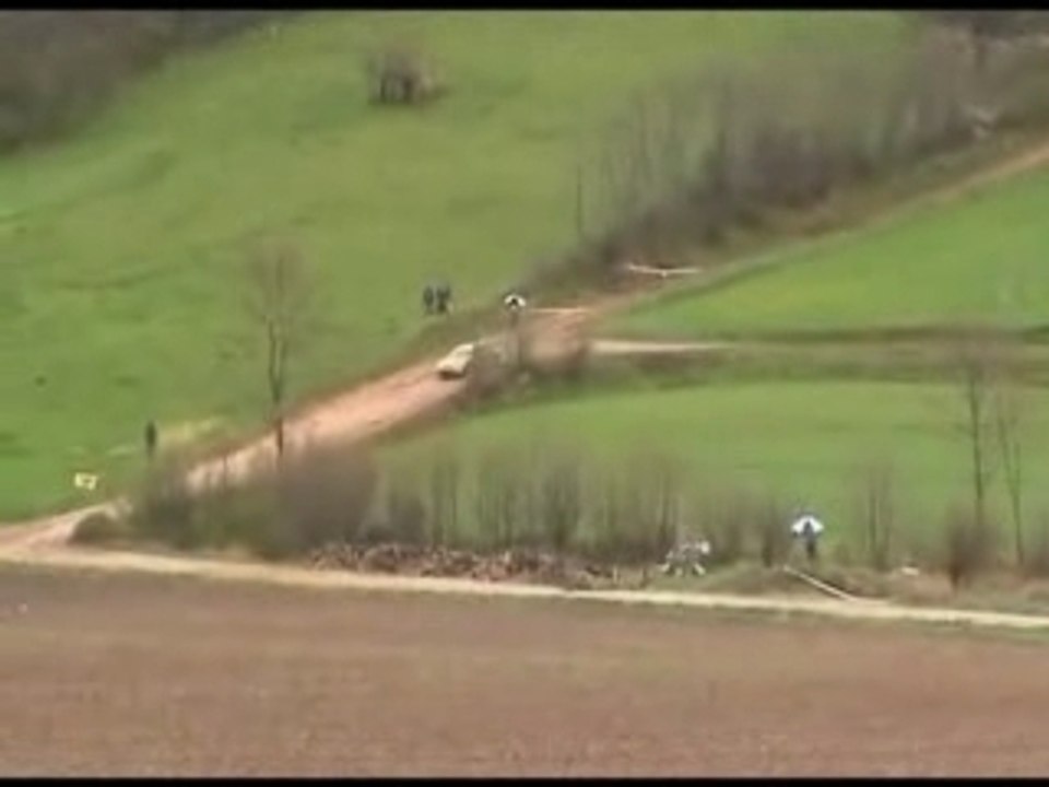 Paulu-Battistu Halter: sortie de route en 206 WRC