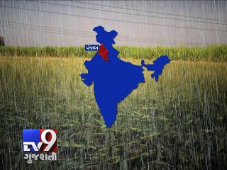 Unseasonal rains lash farmers' spirits in Nation - Tv9 Gujarati