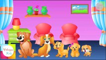 Finger Family Collection - 7 Finger Family Songs - Daddy Finger Nursery Rhymes (HD)