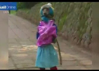 Poodle Walks Like a Man While Dressed Like a Girl