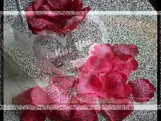 ek din aap yon ham ko mil jain gay