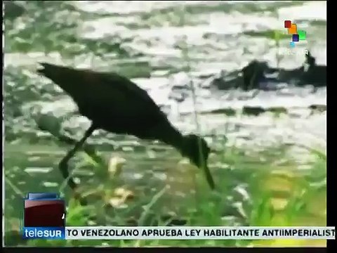Ecuador gana en La Haya demanda a Chevron por daños ambientales