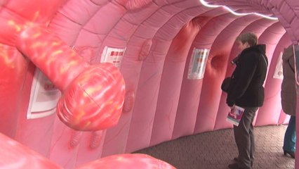 Trois ministres de la Santé dans un colon géant pour sensibiliser au cancer colorectal