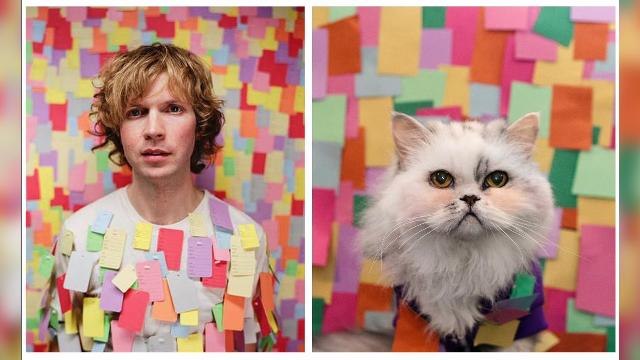 This Cat Looks Exactly Like 15 Different Celebrities