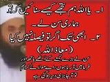 Tariq Jameel ki Gustakhi aur Mufti HANEEF QURESHI - YouTube