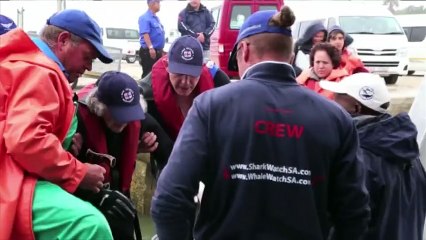 Pour ses 100 ans, elle entre dans la cage aux requins
