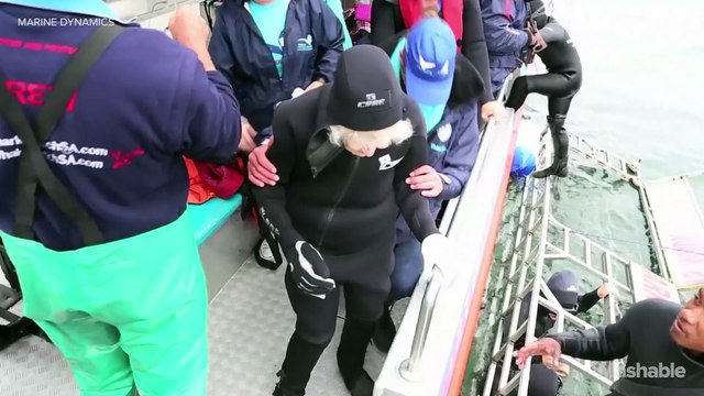 Great-grandma skydives and swims with sharks for 100th birthday